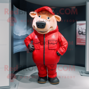 Red Pig maskot kostume...