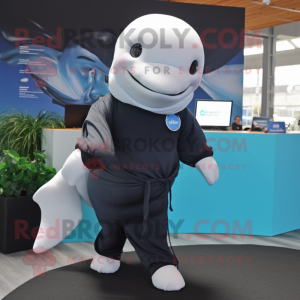 Sort Beluga Whale maskot...