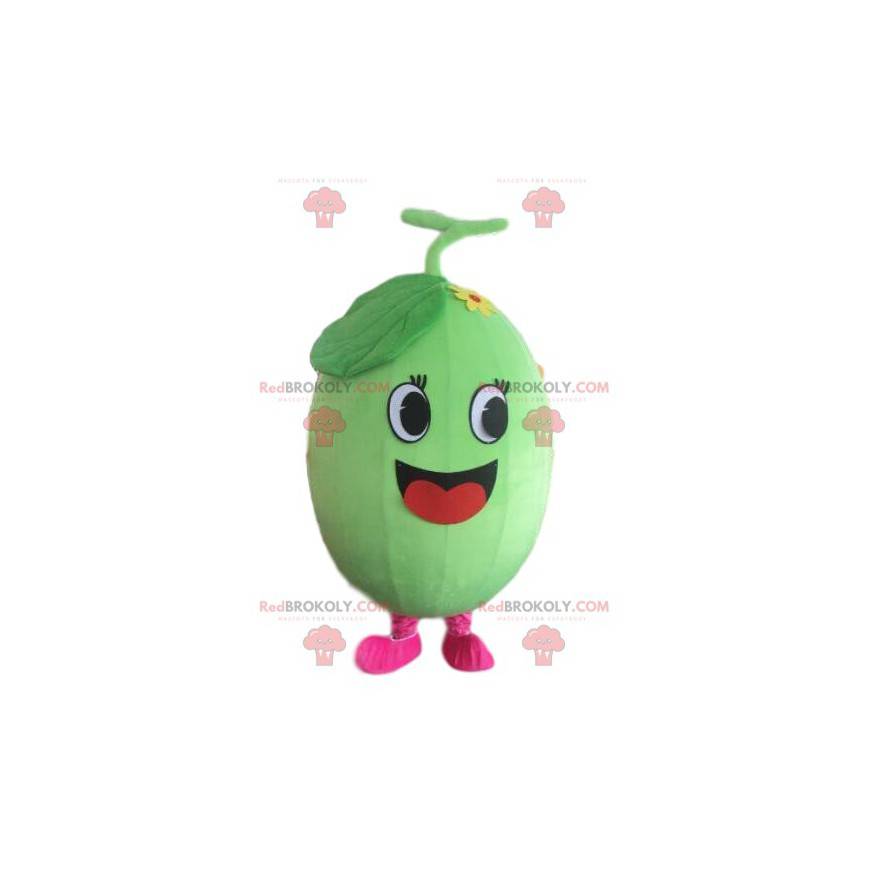 Melon maskot, vannmelon kostyme, frukt forkledning -