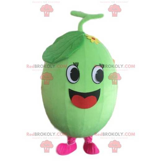 Melon mascot, watermelon costume, fruit disguise -