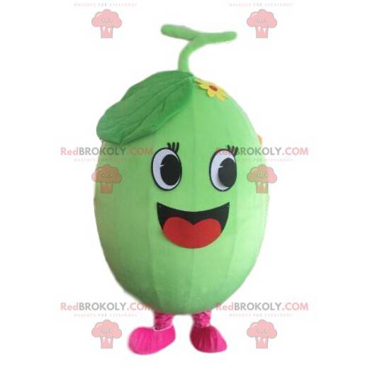 Melon maskot, vattenmelon kostym, frukt förklädnad -