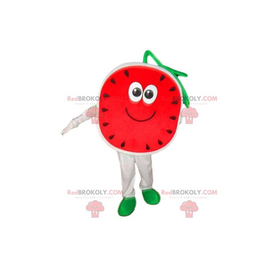 Vattenmelon maskot, melon kostym, frukt förklädnad -