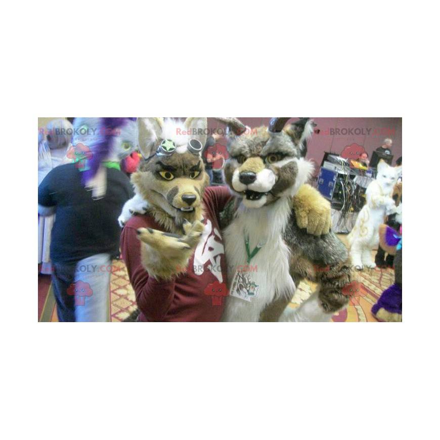 2 furry and colorful dog mascots - Redbrokoly.com 2 furry and colorful dog mascots - Redbrokoly.com