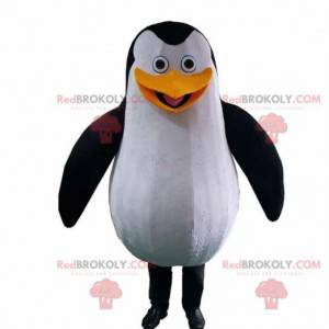 Penguin mascot from the film The penguins of Madagascar -