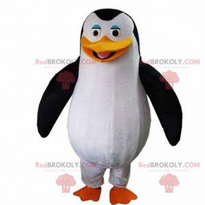 Penguin mascot from the film The penguins of Madagascar -