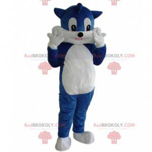 Mascotte del gatto, costume del gatto, costume del gatto blu -