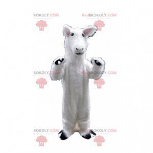 Hvid hest maskot, lama kostume, hvidt dyr - Redbrokoly.com