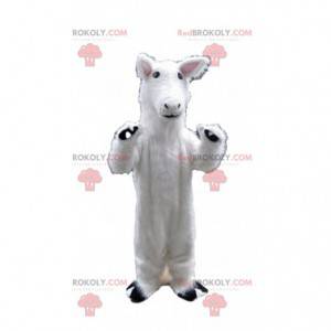 Mascotte wit paard, lama kostuum, wit dier - Redbrokoly.com