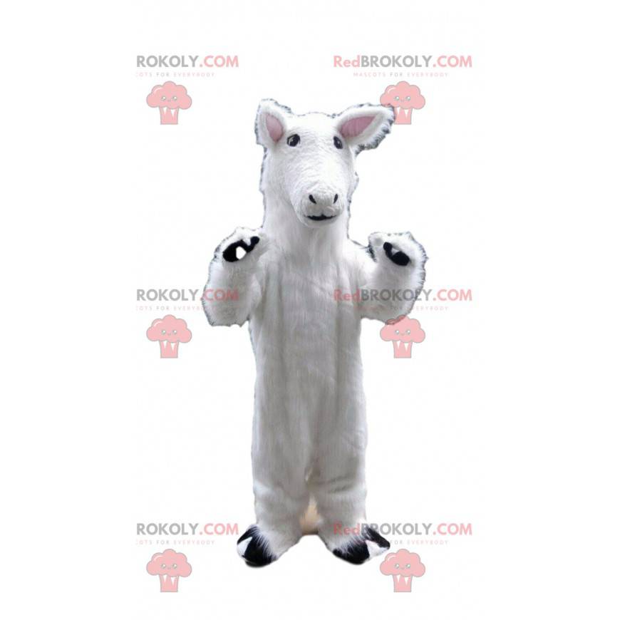 Mascotte de cheval blanc, costume de lama, animal blanc -