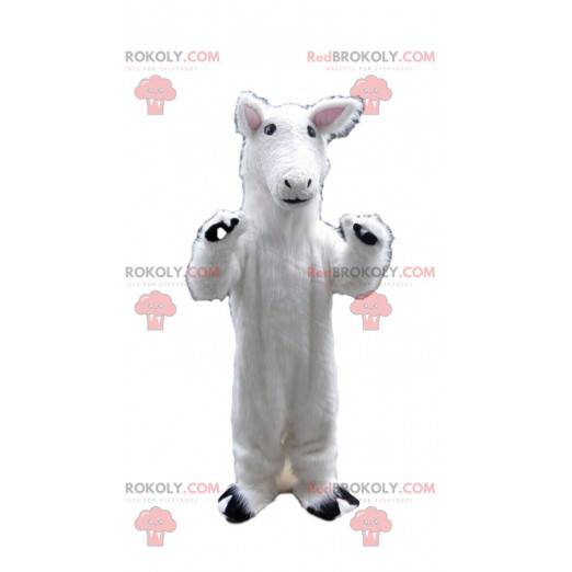 Mascotte de cheval blanc, costume de lama, animal blanc -