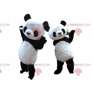 2 Panda-Maskottchen, Panda-Kostüme, asiatisches Tier -