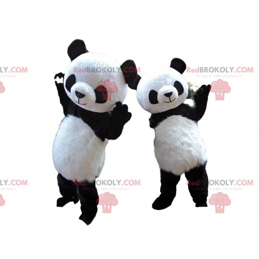 2 mascotes panda, fantasias de panda, animal asiático -