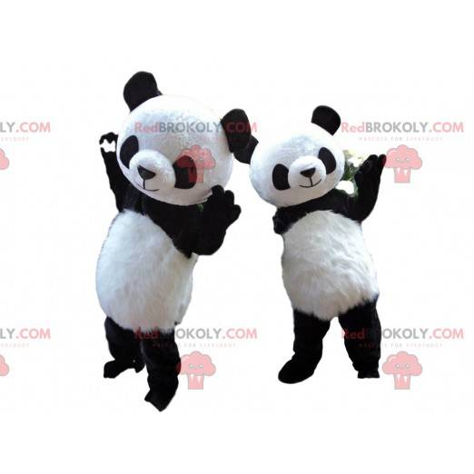 2 mascotes panda, fantasias de panda, animal asiático -