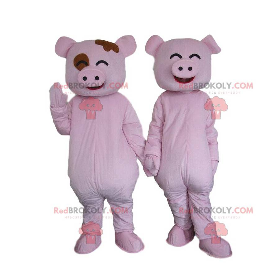 2 Schweinemaskottchen, ein paar Schweine, rosa Schweine -