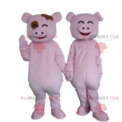 2 Schweinemaskottchen, ein paar Schweine, rosa Schweine -