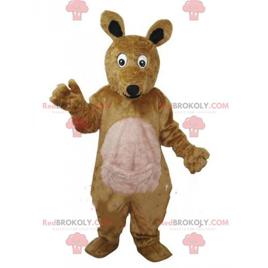 Kangaroo mascot, kangaroo costume, animal Australia -