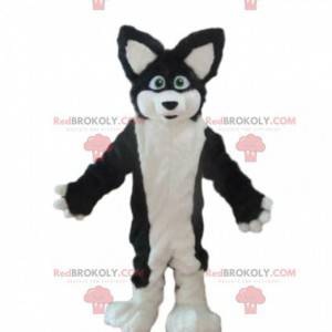 Mascotte di cane husky, costume da volpe, travestimento peloso