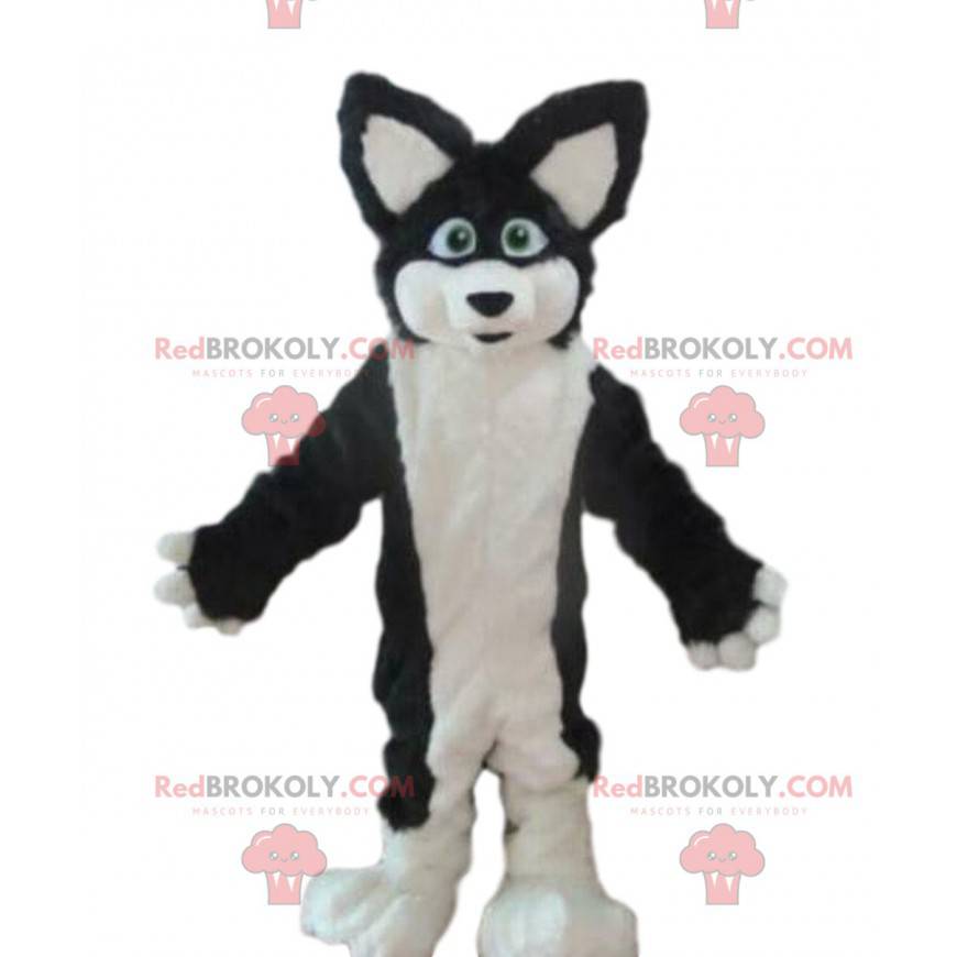 Husky hond mascotte, vos kostuum, harige vermomming -