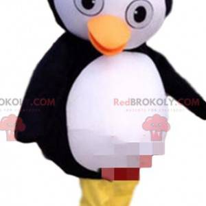 Maskot tučňáka, kostým tučňáka, maskování ledovou kra -