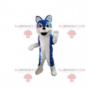 Blaues und weißes Hundemaskottchen, haariges Hundekostüm -