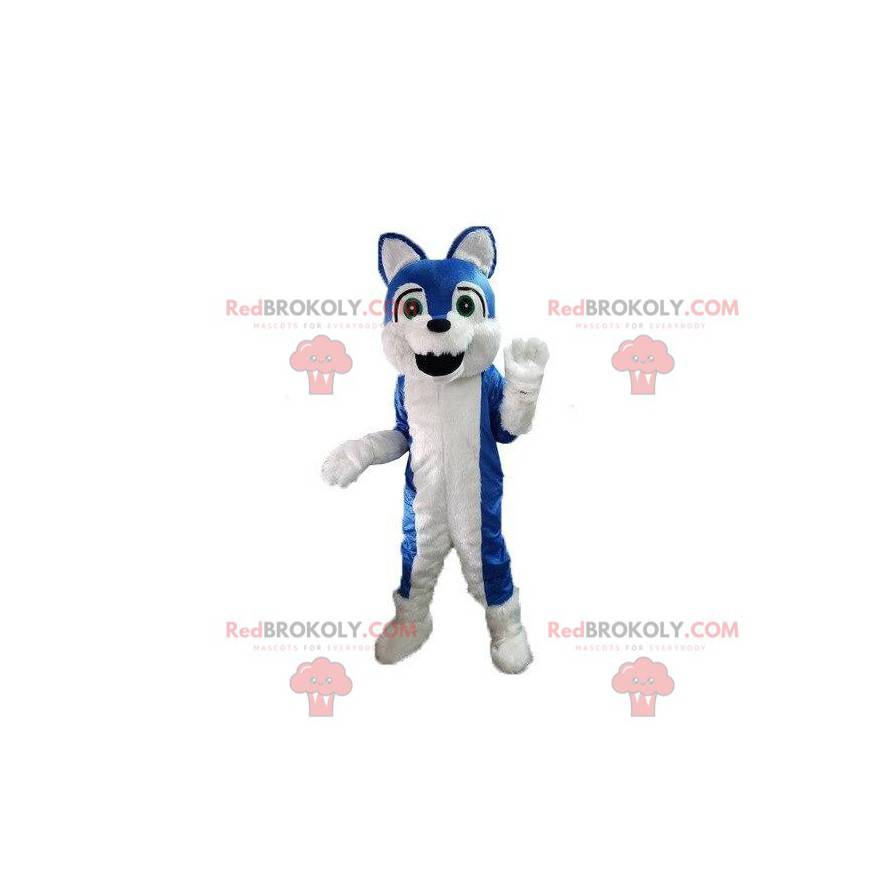 Blå og hvid hundemaskot, behåret hundedragt - Redbrokoly.com
