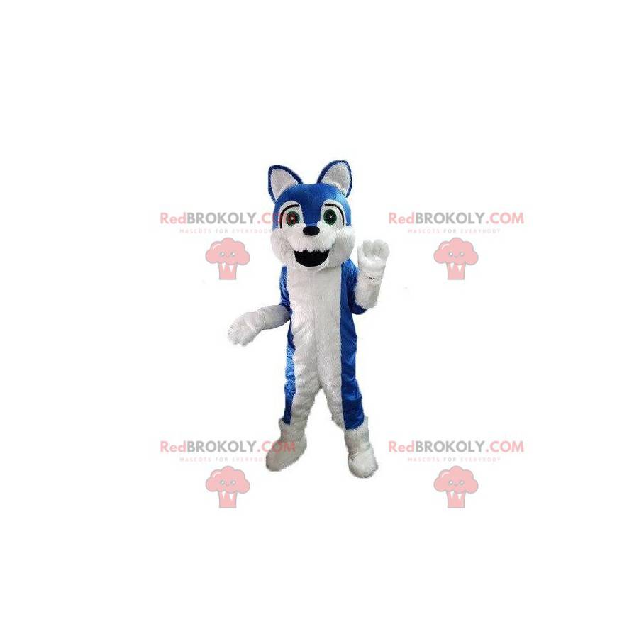 Modré a bílé psí maskot, chlupatý pes kostým - Redbrokoly.com Modré a bílé psí maskot, chlupatý pes kostým - Redbrokoly.com