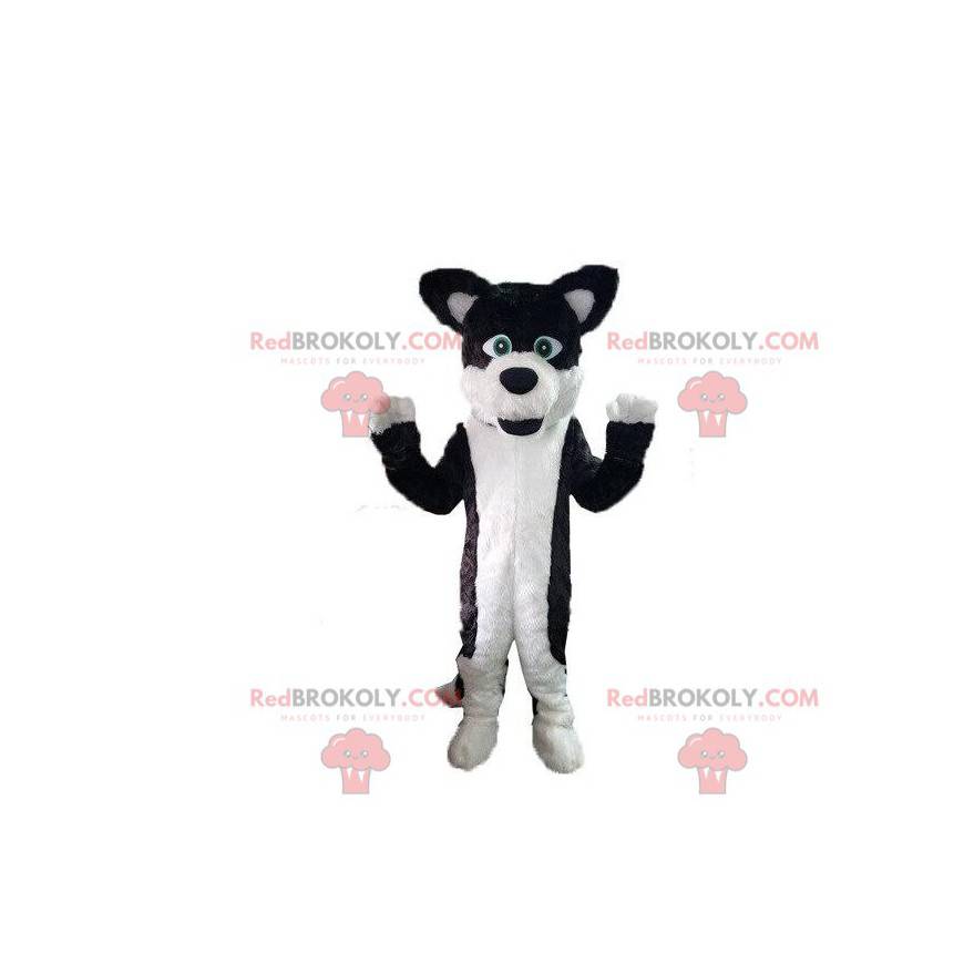Mascotte de chien, costume de chien poilu, déguisement canin - Mascotte de chien, costume de chien poilu, déguisement canin -