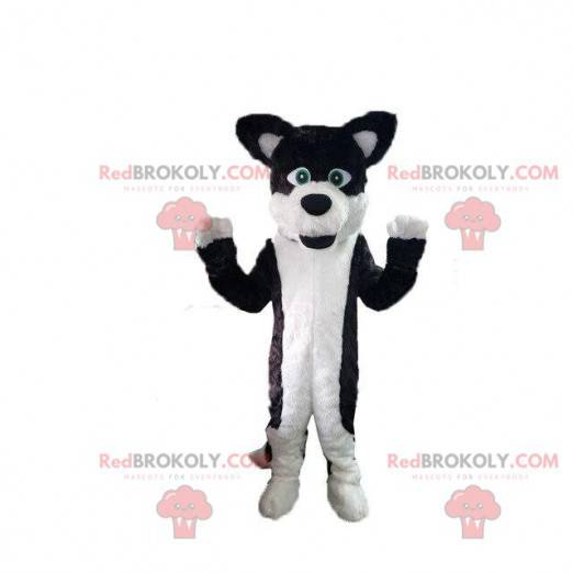 Hundemaskot, hårete hundedrakt, hundedrakt - Redbrokoly.com