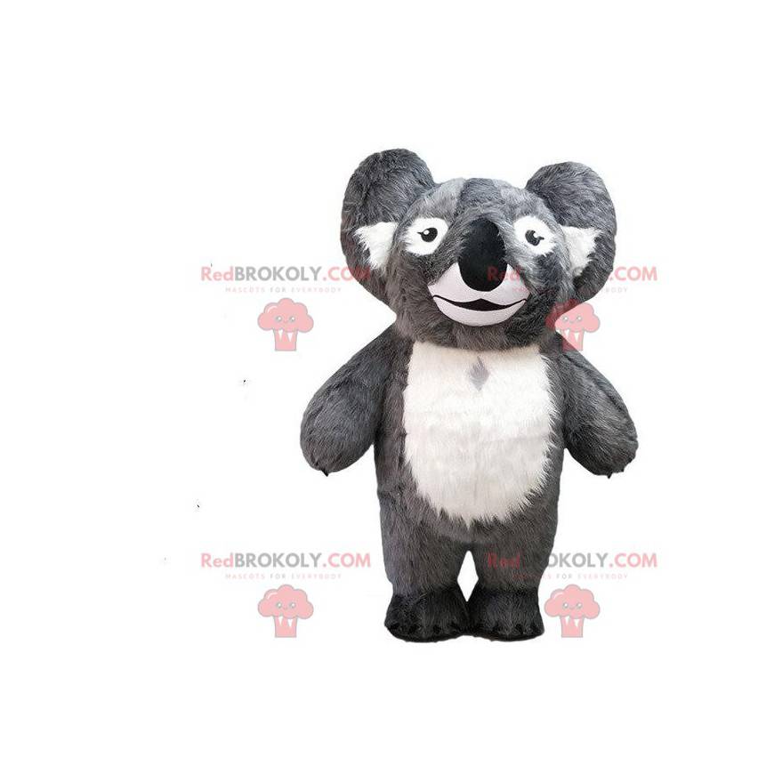 Gray koala mascot, costume Australia, Australian animal -