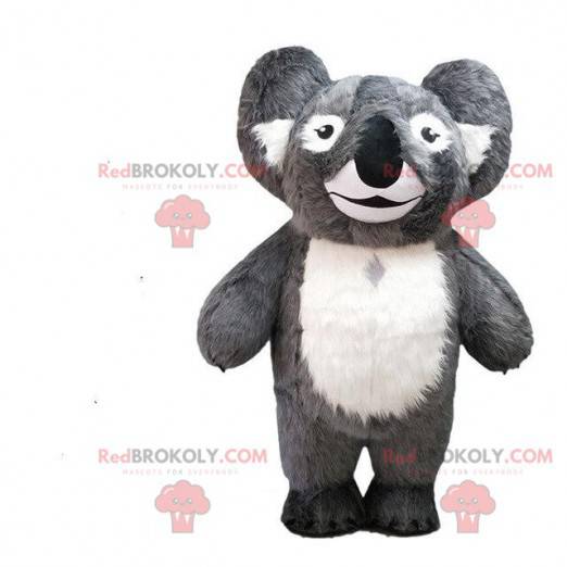 Mascotte koala grigio, costume Australia, animale australiano -