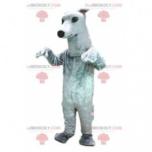 Greyhound mascotte, hondenkostuum, witte hond - Redbrokoly.com