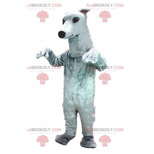 Greyhound maskot, hundedrakt, hvit hund - Redbrokoly.com