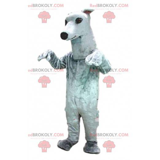 Mascota galgo, disfraz de perro, perro blanco - Redbrokoly.com