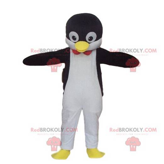 Mascotte del pinguino, costume del pinguino, animale del