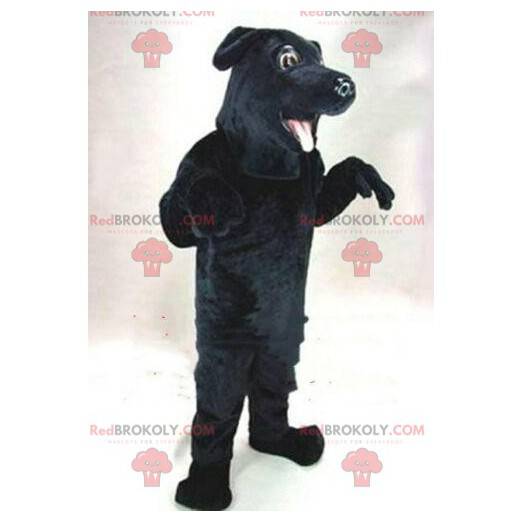 Mascotte cane nero, costume Labrador, costume canino -