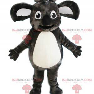 Gray koala mascot, Australian animal, exotic costume -