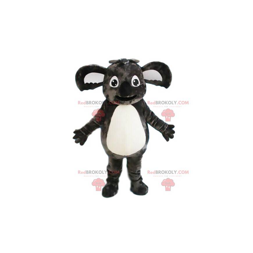 Szara maskotka koala, australijskie zwierzę, egzotyczny kostium Szara maskotka koala, australijskie zwierzę, egzotyczny kostium