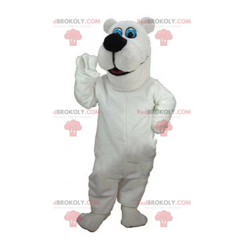 White teddy bear mascot, white bear costume, polar animal -