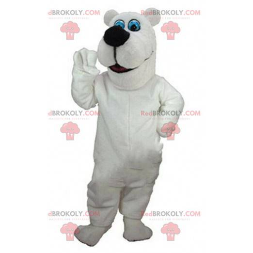 White teddy bear mascot, white bear costume, polar animal -