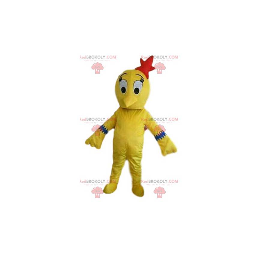 Mascotte uccello giallo, costume canarino, costume giallo -