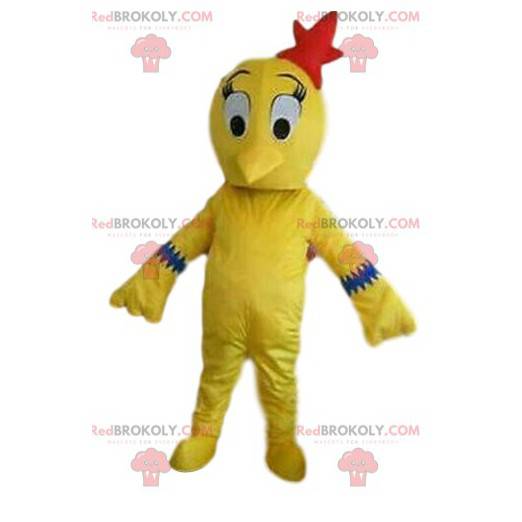 Żółty ptak maskotka, kostium kanarka, żółty kostium -