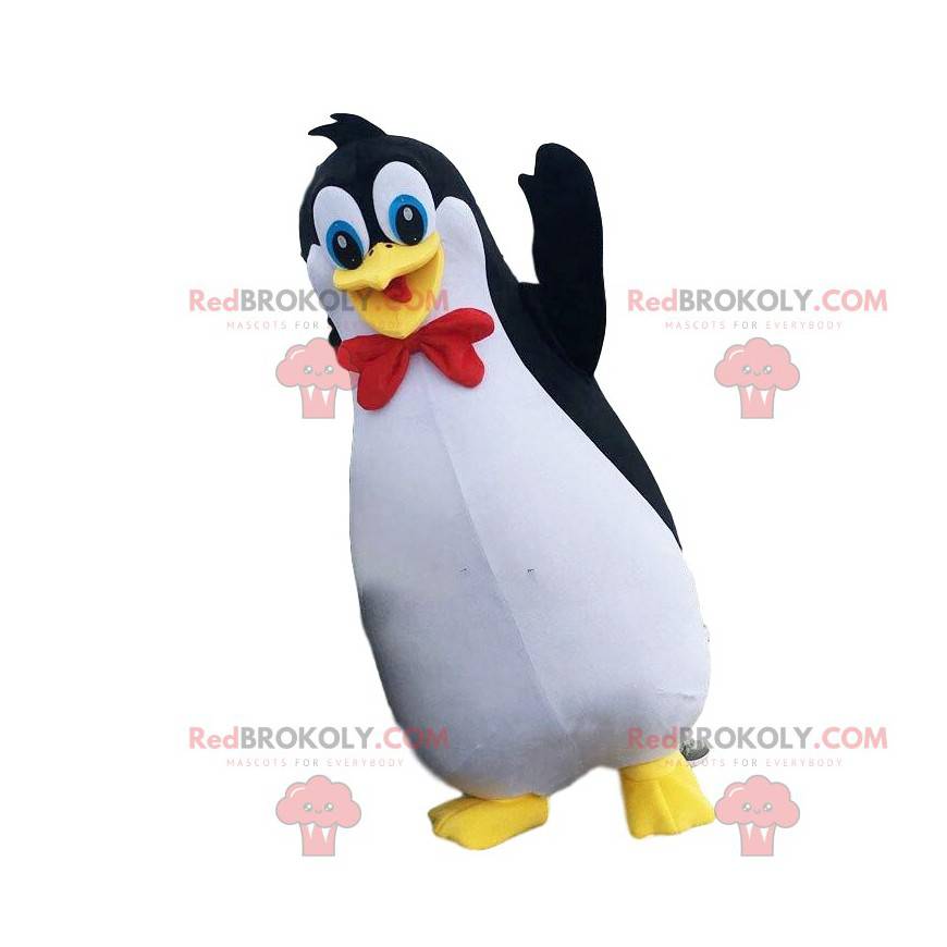 Mascote de pinguim, fantasia de pinguim, disfarce polar -