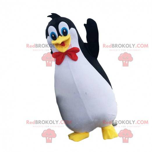 Mascotte del pinguino, costume del pinguino, travestimento