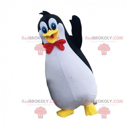 Penguin mascot, penguin costume, polar disguise - Redbrokoly.com