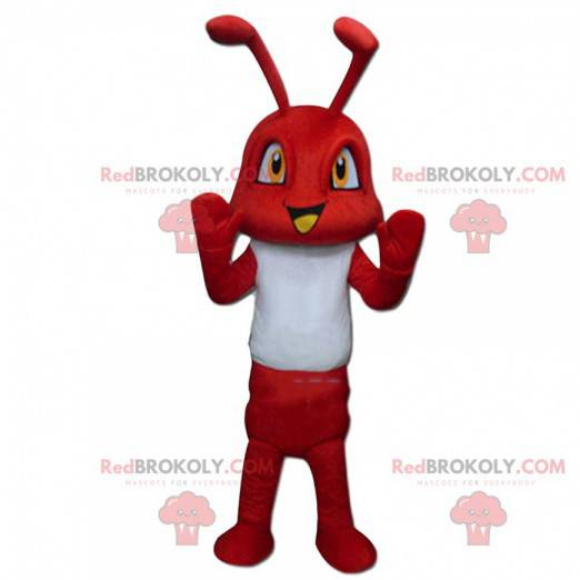 Mascotte rode mier, insectenkostuum, rood insect -