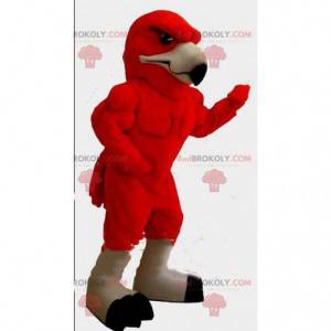 Mascotte d'aigle rouge, costume d'oiseau, déguisement de