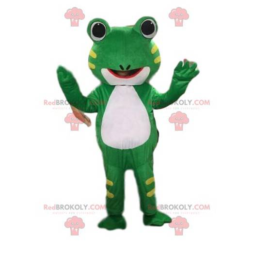Groda maskot, padddräkt, jätte groda - Redbrokoly.com