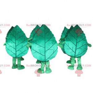 Tree leaf mascot, tree costume, nature disguise - Redbrokoly.com
