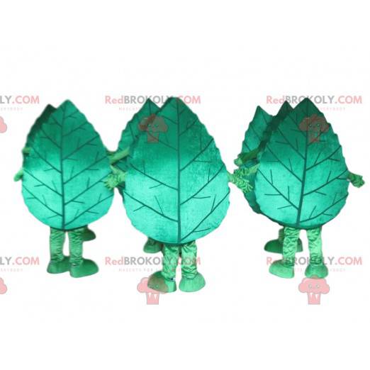 Tree leaf maskot, tre kostyme, natur forkledning -