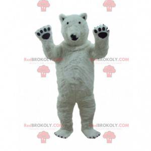 Mascotte ours polaire, costume ours blanc, banquise -